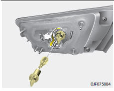 Fiat Panda. Austauschen der Lampe der Rückleuchte