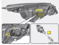 Fiat Panda. Austauschen der Lampe der Positionsleuchte