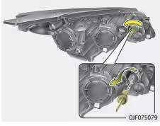 Fiat Panda. Blinkleuchten vorn, Austausch des Leuchtmittels