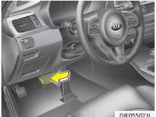 Fiat Panda. Einrichten