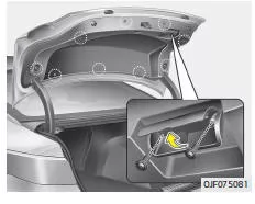 Fiat Panda. Leuchtmittel der Kennzeichenbeleuchtung ersetzen