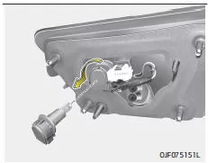Fiat Panda. Nebelschlussleuchte, Austausch der Glühlampe