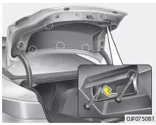 Fiat Panda. Austauschen der Lampe der Rückleuchte