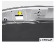 Fiat Panda. Kältemittelaufkleber