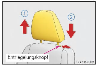 Lexus IS 300h. Vordersitze