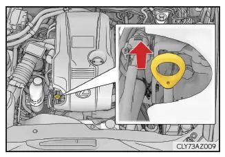 Lexus IS 300h. Kontrolle des Motoröls