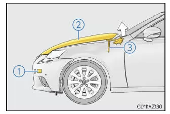 Lexus IS 300h. Mechanismus der Motorhaube mit Klappautomatik