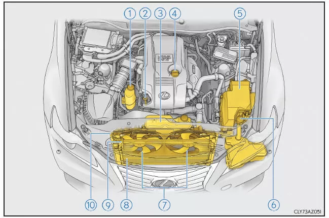 Lexus IS 300h. Motorraum