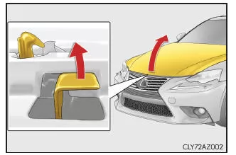 Lexus IS 300h. Motorhaube