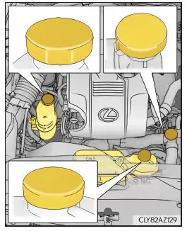 Lexus IS 300h. Bei Kontrollen unter der Motorhaube Ihres Fahrzeugs